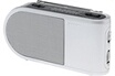 Sony ICF-304L