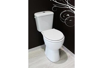 WC broyeur Aqua+ WC à poser surélevé en porcelaine blanche 455mm