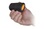 Locster PACK LOCSTER