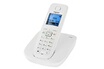 Siemens Gigaset A520
