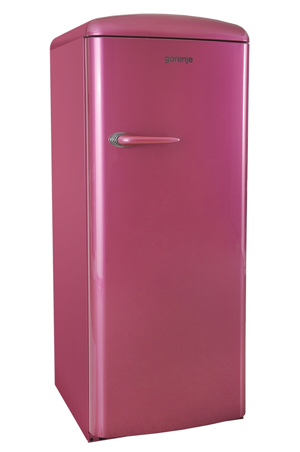 Refrigerateur armoire Gorenje RB60298 OP (3598047) Darty