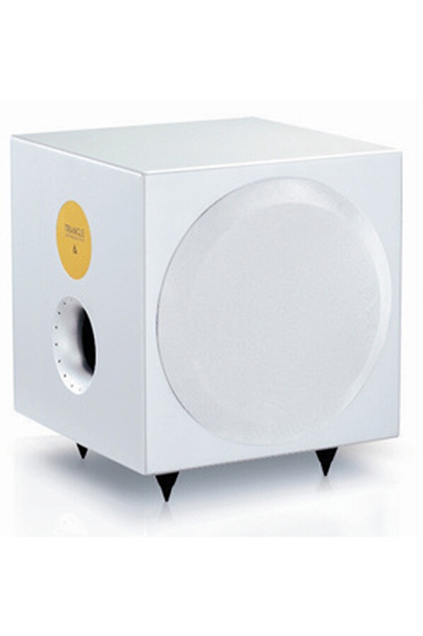 Caisson de basses Triangle METEOR 0.1 TC BLANC (2819430) Darty