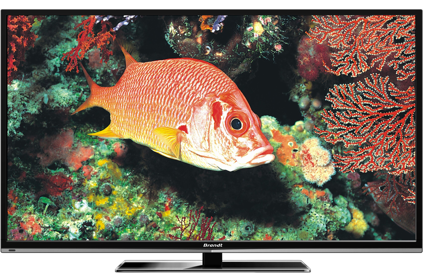 TV LED Brandt B3225HD LED B3225HD (1405403) | Darty
