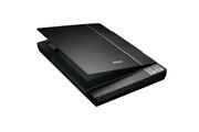 Epson V37