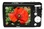 Nikon COOLPIX L20 NOIR