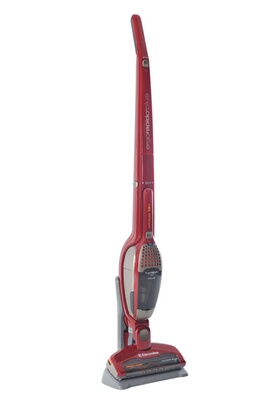 Electrolux ZB2943 ERGORAPIDO