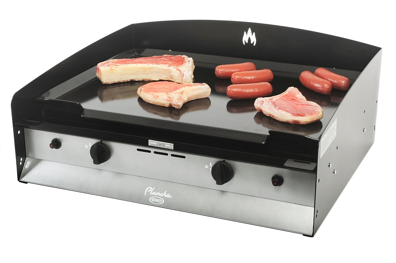 Barbecue Gaz FIESTA 2, plancha, grill, 2 brûleurs, achat/vente, pas cher 