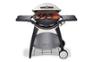Weber Q 300 GAZ