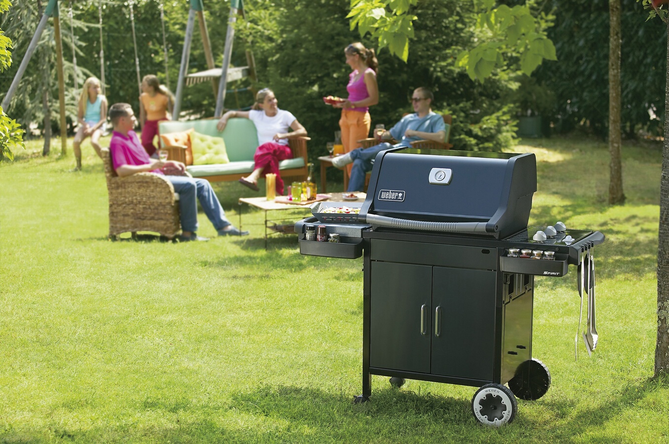 barbecue weber spirit classic e310