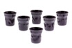 Bialetti MOKA FROISSE VIOLET X6