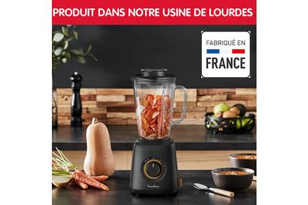 Blender Moulinex LM46EN10 Eco Respect Darty