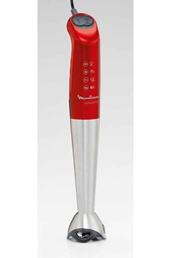 pied � soupe moulinex