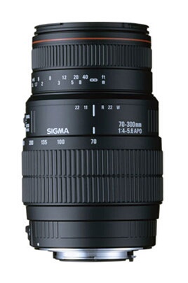 SIGMA 70-300mm f/4-5.6 APO DG Macro Nikon Motorisé 5A8955