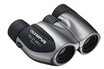 Olympus 10X21 DPS I