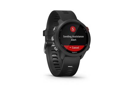 Montre connectée Garmin Forerunner 245 Music Noire avec bracelet noir