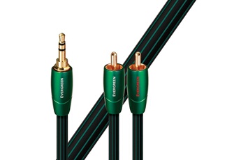 Audioquest - CABLE JACK 3.5 - RCA EVERGREEN 1 M