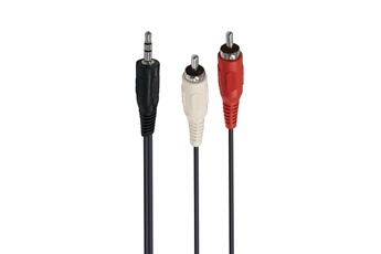 Accsup - CABLE JACK 3,5 MALE / 2 X RCA MALES 5M NOIR
