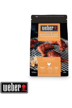 Accessoire barbecue et plancha Weber NETTOYANT BARBECUE WEBER Q - DARTY  Guyane