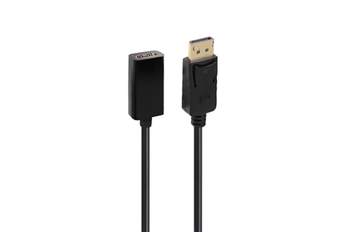 Adaptateur DisplayPort mâle - HDMI femelle