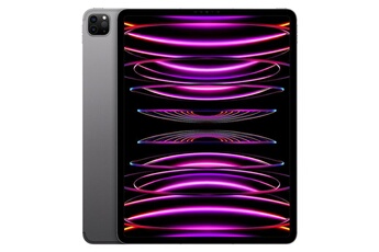 Ecran Liquid Retina XDR 12,9" - Résolution 2732 x 2048 pixels / Puce Apple M2 / 8 Go RAM - 128 Go ROM / Système d'exploitation iPadOS