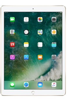 Apple iPad Pro 12.9" 512Go WiFi + Cellular