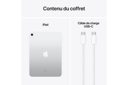 Tablette Apple iPad 10,2 Wi-Fi 64GB 9ᵉ génération Gris (MK2K3NF/A