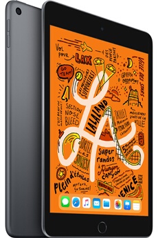 iPad Mini 64 Go WiFi Gris sidéral 7.9" 2019 5 ème génération