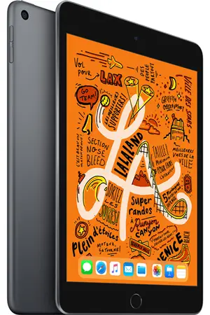iPad iPad Mini 64 Go WiFi Gris sidéral 7.9