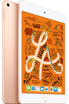 iPad Mini 64 Go WiFi Or 7.9" 2019 5 ème génération
