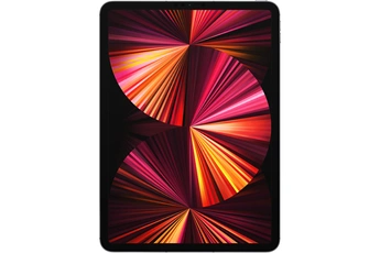 Apple - Ipad Pro (2021) - 11 - Wifi + Cellulaire - 512 Go - Gris Sid&eacute;ral 