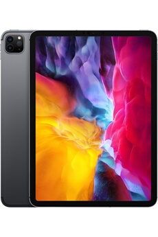 iPad Pro 11" 512 Go Gris sidéral Wi-Fi Cellular 2020 2ème génération