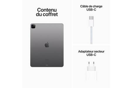 Haut-parleur Original Pour IPad 6 2018 - Gris Sidéral - Occasion Bon état