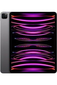 Ecran Liquid Retina XDR 12,9" 2388 x 1668 pixels / Puce Apple M2 (CPU 8 coeurs + GPU 10 coeurs) - Capacité 1 To / Wifi 6 802.11 ax - BT 5.3 - Jusqu'à 10 h d'autonomie en Wifi / Appareil photo pro : grand angle 12 Mpx + Ultra grand angle 10 Mpx - Caméra TrueDepth ultra grand angle 12 Mpx