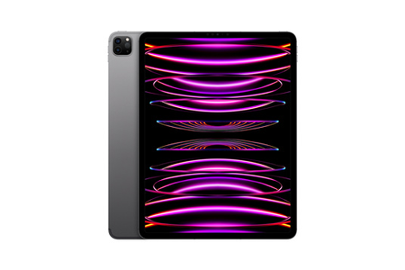 iPad Apple IPAD PRO 12,9 M2 1TO GRIS SIDERAL WI-FI CELLULAR FIN 2022