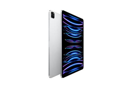 IPad Pro 12.9 2022 (M2) Wi-Fi + Cellular 512 Go - Gris - Occasion