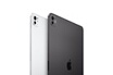 Apple iPad Pro 13'' Puce Apple M4 512 Go Noir Sideral 5G 7eme generation 2024 photo 13