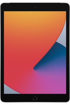 iPad 10,2'' 32 Go Gris Sidéral Wi-Fi Cellular 8ème génération 2020