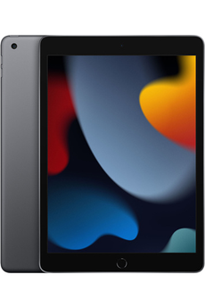 iPad Apple IPAD 10,2 64GO GRIS SIDERAL WIFI 9ème génération 2021