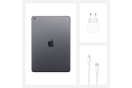IPad Air 4 (2020) 256 Go Gris Sidéral - Très Bon état - Avec étui Logitech Crayon