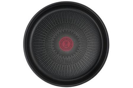 Poêle Tefal Ingenio 24 Cm Induction - Antiadhésif Titanium - Fabriqué En France