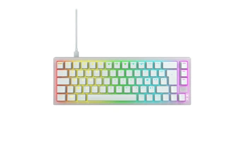 Format 65 % / Ultra-personnalisable / Éclairage RGB à LED / Commutateur CHERRY MX2A red remplaçable