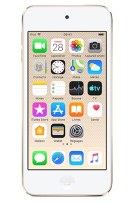 iPod touch 256GB Gris Sidéral