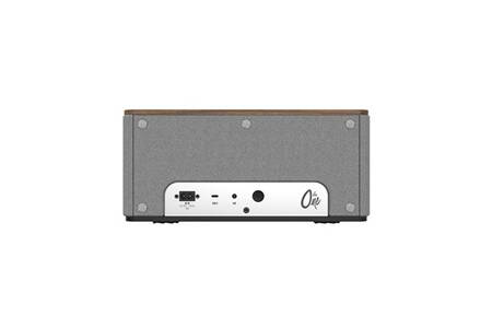 Enceinte Bluetooth Telefunken TLAU19 – Sans Fil – Portable – Neuf