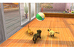 Nintendo NINTENDOGS BOULEDOGUE + CATS photo 2