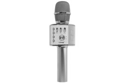 TOSING 008 Karaoké Sans Fil Haut-parleur Microphone 2-en-1 Portable Chant  Enregistrement Lecteur KTV Portable pour iOS Android Smartphones Tablette  PC Or Rose 