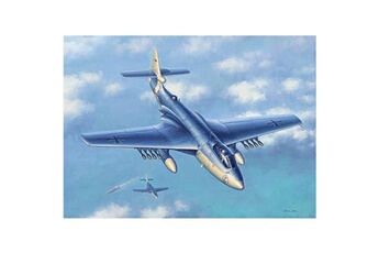 Maquette Hobby Boss Maquette avion : Seahawk MK.100/101