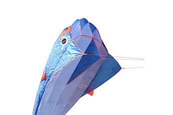 Autre jeux éducatifs et électroniques AUCUNE Enorme sports de plein air sports single line software dolphin kite animal kites flying bleu