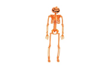 Autre jeux éducatifs et électroniques AUCUNE Halloween citrouille accessoires fête décoration crâne humain squelette anatomique - orange
