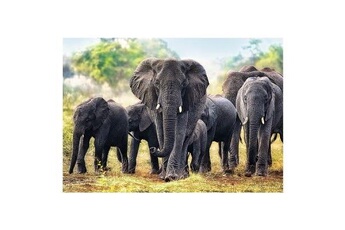 Puzzle Trefl Puzzle 1000 pièces : éléphants africains, trefl