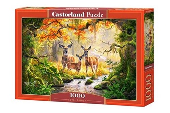 Puzzle Castorland Castorland puzzle puzzle famille royale 1000 pièces